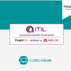 Curso + Exame ITIL® 4 Practitioner: Problem Management (validade 1 ano)